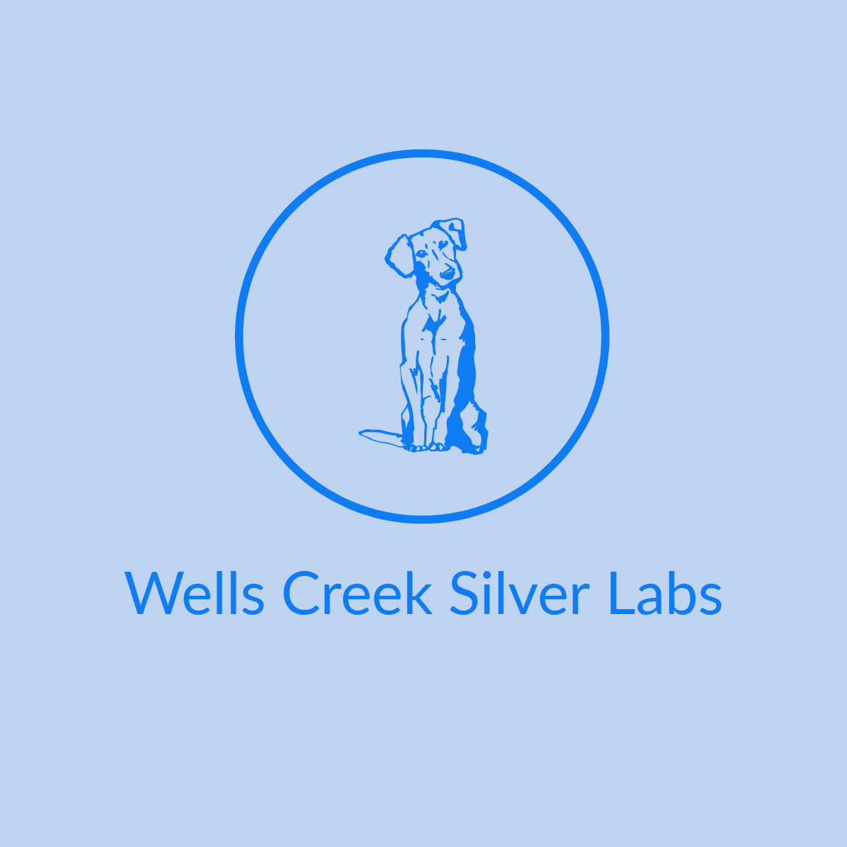 Wells Creek Silver Labs